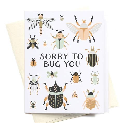 Sorry To Bug You Beetles Bugs Hello Cards Greeting Card Envelope