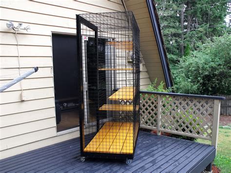 30 Cat Enclosures For Outside