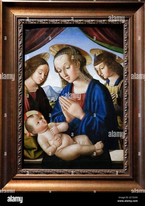 Raffaello Madonna 1489 Fotografías E Imágenes De Alta Resolución Alamy