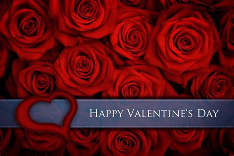 Download Heart Happy Valentines Day Red Red Rose Rose Flower Holiday