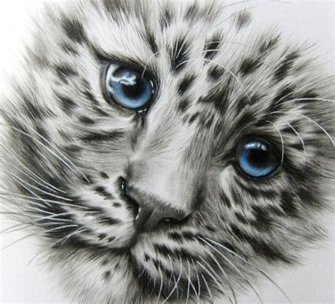 15 Beautiful And Realistic Animal Pencil Drawings By Kate Mur