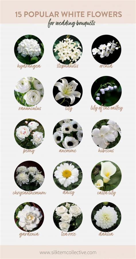 15 Popular White Wedding Flowers Silk Stem Collective
