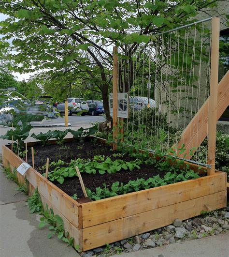 Craft a simple diy trellis for vegetables and plants, privacy, or for an accent in your garden. 33 Inspiring DIY Trellis Ideas For Growing Climbing Plants ...