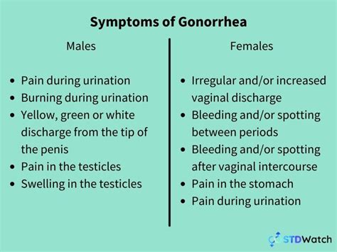 Gonorrhea Everything You Need To Know