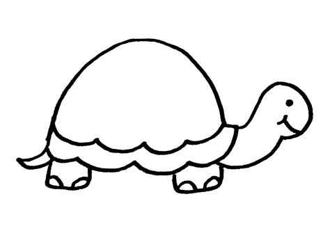 Tortoise Animals Free Printable Coloring Pages