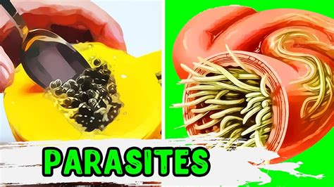 How To Get Rid Of Parasites 5 Natural Remedies Youtube