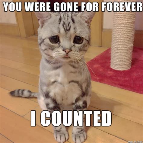 20 Cutest I Miss You Memes Of All Time