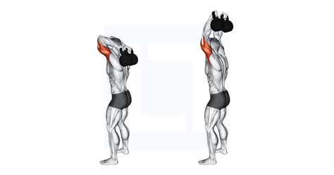Kettlebell Overhead Triceps Extension Guide Benefits And Form