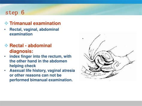 ppt gynecological history and physical examination powerpoint presentation id 4708639