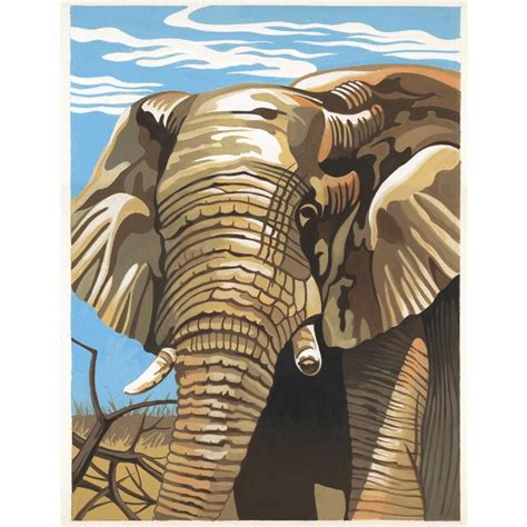 Junior Paint By Numbers Elephant Uk