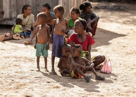 気候変動による世界初の飢饉が発生か 4年間降雨なく、昆虫で飢えをしのぎマダガスカル｜ニューズウィーク日本版 オフィシャルサイト