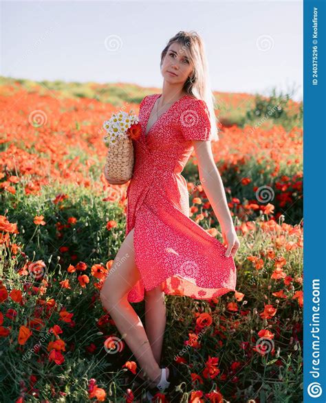 caucasian blonde woman in a poppy field woman in red dress and handbag with wild flowers stock