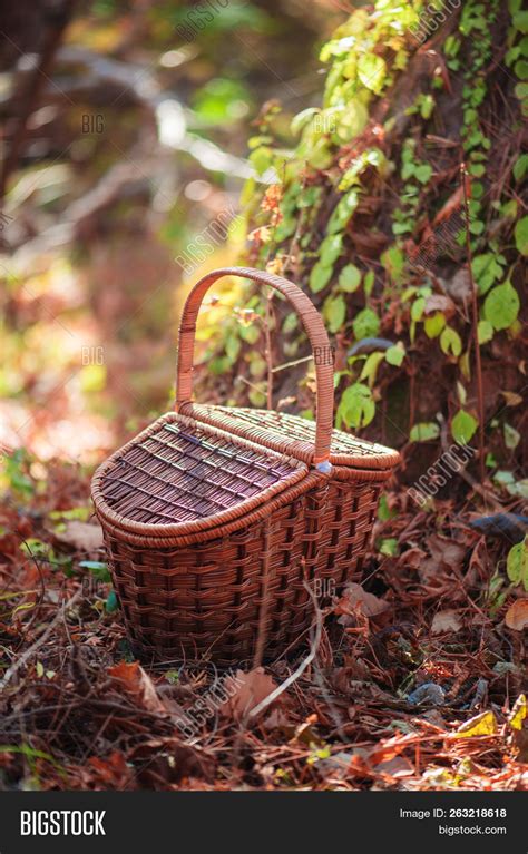 Picnic Basket Autumn Image And Photo Free Trial Bigstock