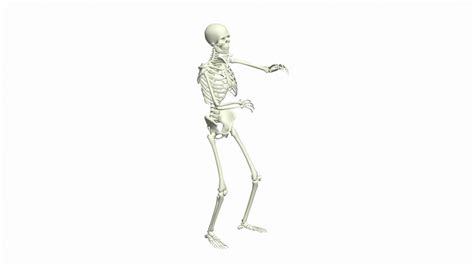 Skeleton Dancing 3d 모델 Turbosquid 1890991
