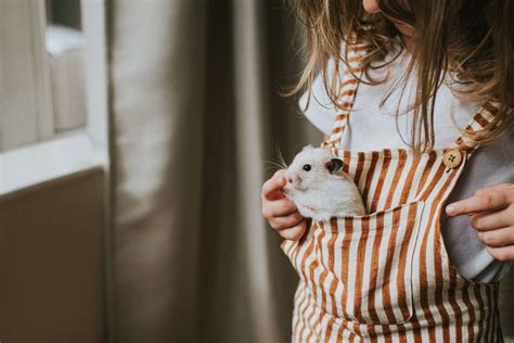 7 Best Small Pets To Consider For Your Child