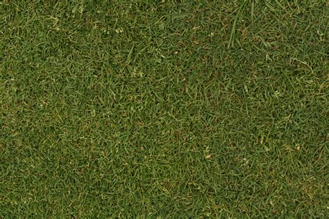 Grass Texture Seamless Seamless Texture Grass Textures Lawn Field Wild