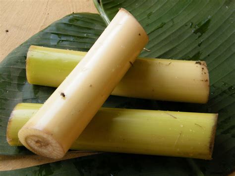 Banana Stem With Split Green Gram Curry Arati Davva Pesara Pappu