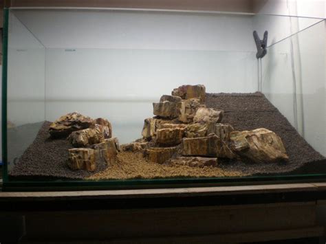 Petrified Wood Aquascape Aquascape Ideas