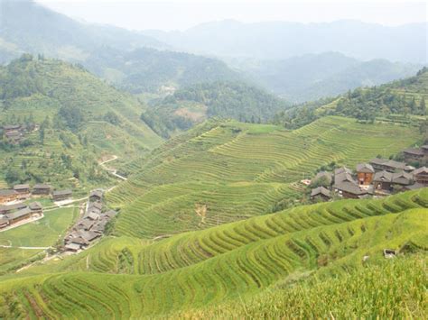 The Overview Of Jinkeng Rice Terraceslongsheng Jinkeng Rice Terraces