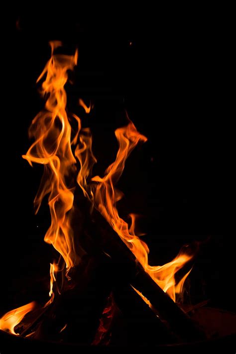 Free Photo Fire Flame Burn Brand Black Background Isolated