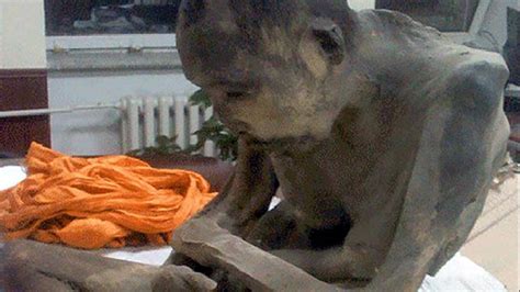 Mummified 200 Yr Old Monk Isnt Dead In Deep Meditation Youtube