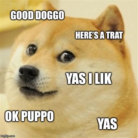 27 Heckin Good Doggo Memes To Lift Your Spirits Funny