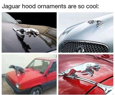 Jaguar Meme By Atomicmememaster Memedroid
