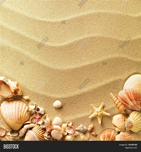 Sea Shells With Sand As Background Stock Photo And Stock Images Bigstock
