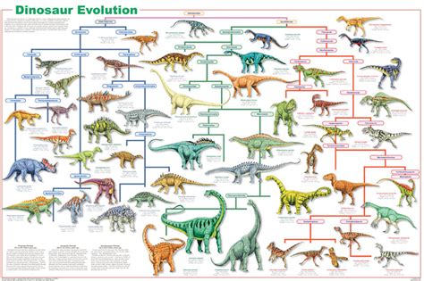 Dinosaur Evolution Poster Dans Dinosaurs