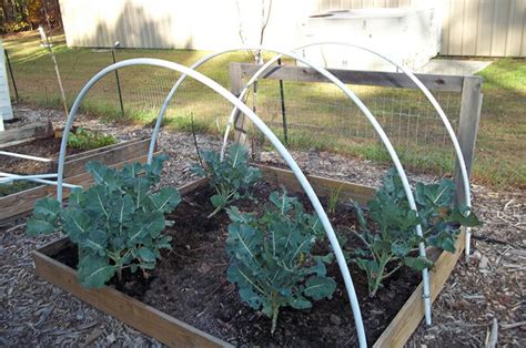 Diy Hoop House Greenhouse How To Build A Retractable Hoop House