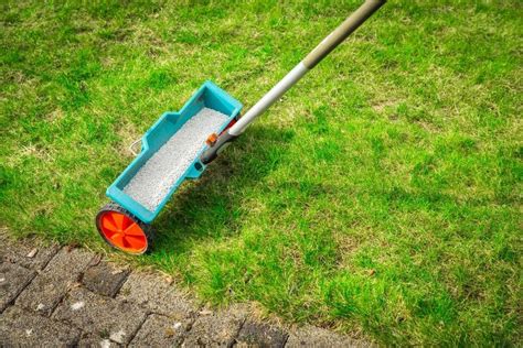 How To Fertilize Your Lawn In 4 Steps Lacoste Garden Centre Webshop