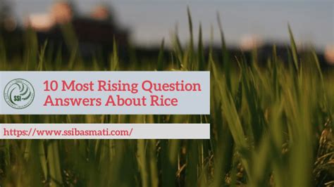 10 Most Rising Questions Answers About Rice