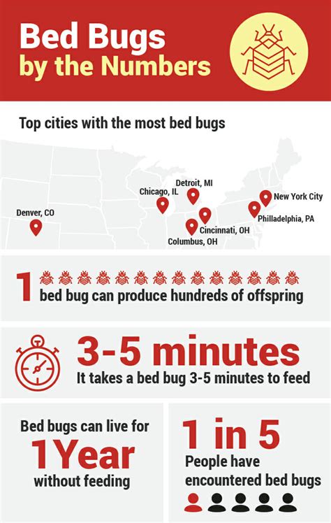 Bed Bugs By The Numbers Dodson Pest Control