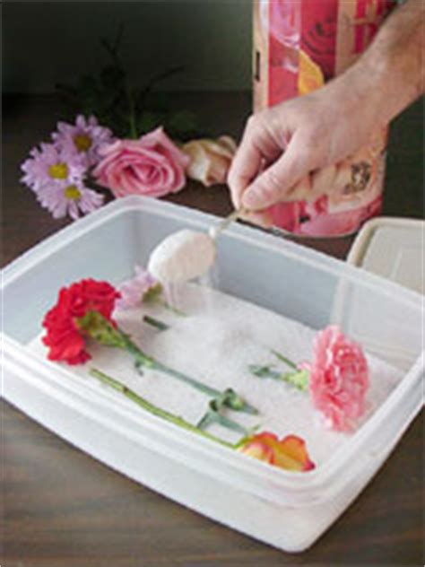 Determine the flowers you would like to dry. Gardening Articles :: Flowers :: Perennials :: National ...
