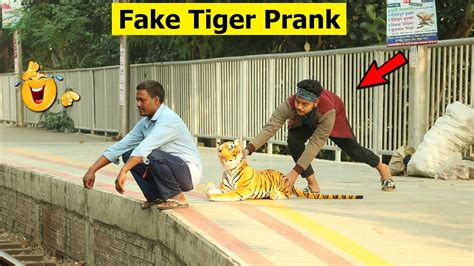 Fake Tiger Prank Fake Tiger Prank On Public Best Funny Pranks Youtube