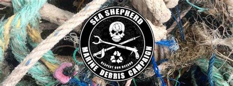 Henley Beach Clean Up Sea Shepherd Marine Debris Campaign 29 Apr