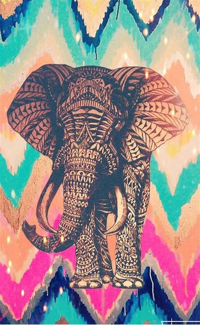 Elephant Elephants Wallpapers Colorful Backgrounds Tribal Phone