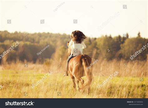 Young Girl Sitting Astride Sorrel Horse Stock Photo 1211845054