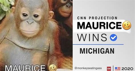 Maurice Monkey Orangutan Meme Maurice Know Your Meme