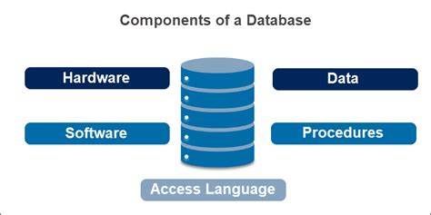 Main Components Of A Database