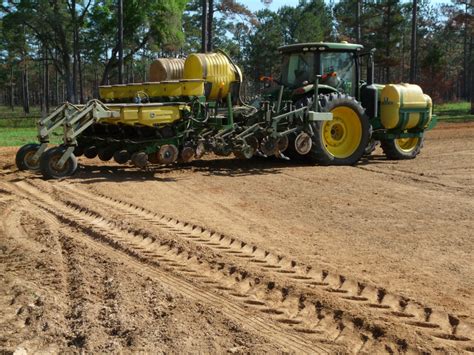 Grain Sorghum Planting Thomas County Ag