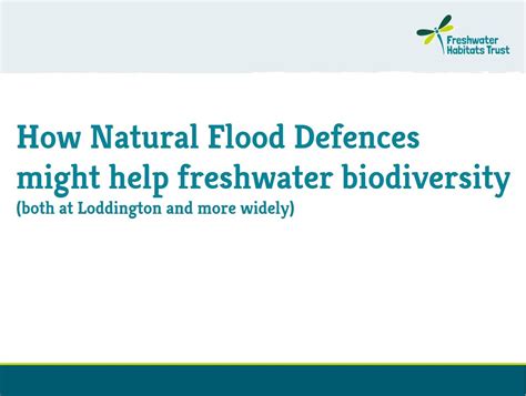 Natural Flood Defences And Biodiversity Freshwater Habitats Trust