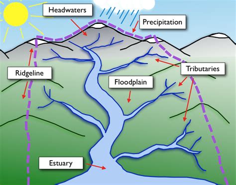 The Watershed Game Cserc