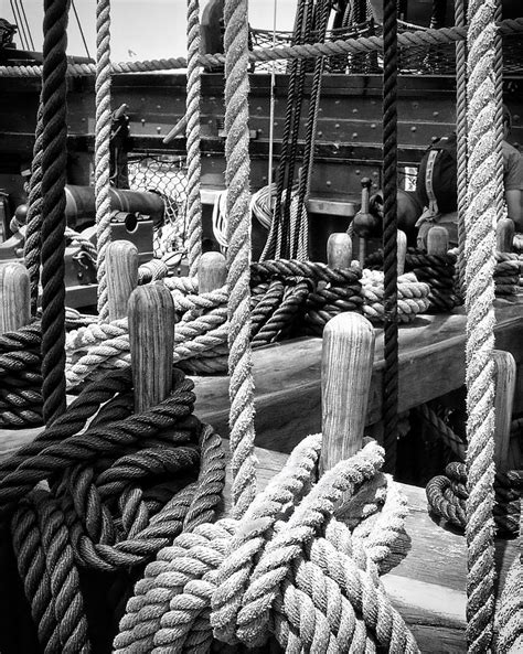 All Tied Up Photograph By K Hines Fine Art America