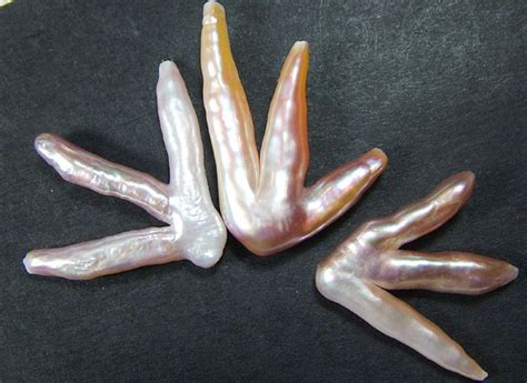 Chicken Feet Keshi Pearls High Luster 50cts Pf381