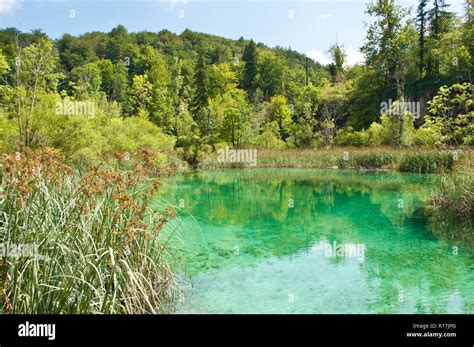 Turquoise Transparent Hi Res Stock Photography And Images Alamy