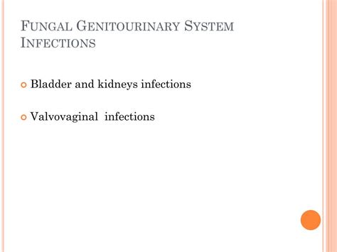 Ppt Fungal Genitourinary System Infections Powerpoint Presentation