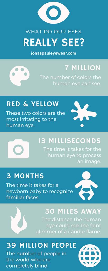 Eye Facts 30 Interesting Facts About Eyes Kickassfactscom