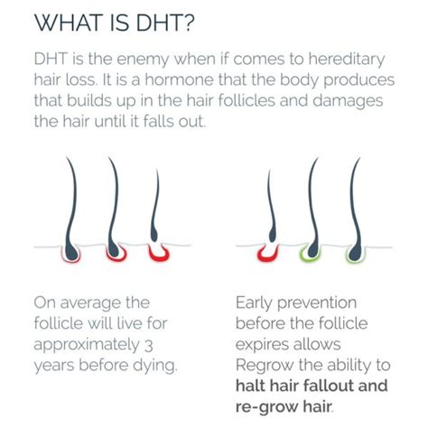 Dht And Hair Loss Understanding The Connection Regrow Hair Clinics