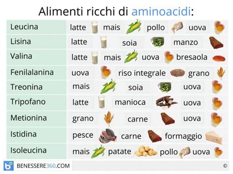 Negli alimenti di origine animale si possono trovare proteine ad alto valore biologico: Gli aminoacidi sono molecole organiche importanti in ...